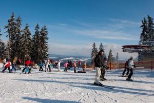 Hostia v ubytovaní Apart Riviera Lipno J4-12