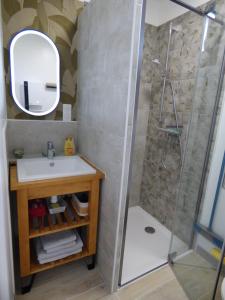 a bathroom with a shower and a sink and a mirror at studio des olivières in Montpeyroux +16 photos