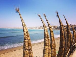 a group of palm trees on a beach at Tatos House in Huanchaco