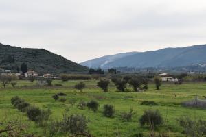 a green field with trees and mountains in the background at Olympian Gods apartments in Alikanas