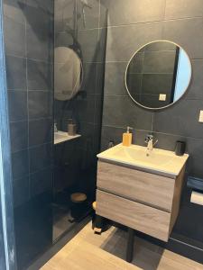a bathroom with a sink and a shower at Le petit Vittel in Vittel +1 photo