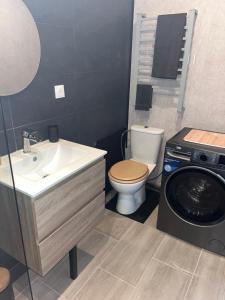 a bathroom with a sink and a washing machine at Le petit Vittel in Vittel