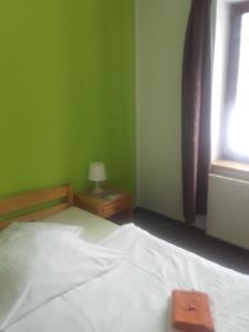 Un pat sau paturi într-o cameră la Hotel Anna