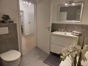 a bathroom with a toilet and a sink and a mirror at Muttis Haus Auf dem Felde 15 in Ummern +15 photos