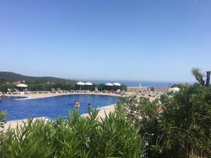 a swimming pool with a view of the ocean at Location appartement proche Saint Tropez in Roquebrune-sur-Argens