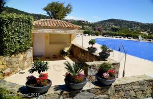 a building with potted plants next to a swimming pool at Location appartement proche Saint Tropez in Roquebrune-sur-Argens
