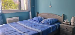 a blue bedroom with a bed and a window at Les Lavandins,Chambre climatisé, à 300 Tram L5, PARKING et WIFI gratuit in Montpellier +35 photos