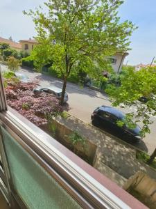 a window with a view of a parking lot with a car at Appartamento Silva in Gorizia