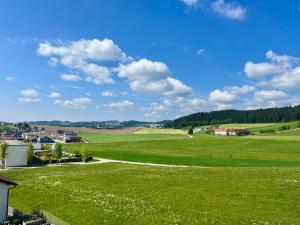 a field of green grass with a town in the background at Free Living Freistadt in Freistadt