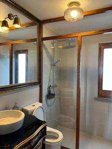 a bathroom with a shower and a toilet and a sink at Termo Cottage in Lagoa +31 photos