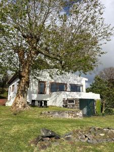 a white house with a tree in front of it at Termo Cottage in Lagoa