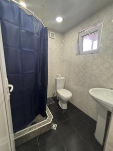 a bathroom with a shower and a toilet and a sink at Guesthouse Saba in Borjomi