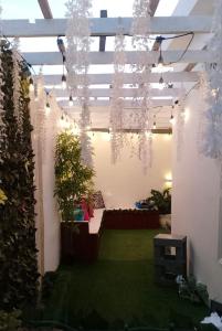 a room with plants and a ceiling with lights at Boutique Hotel in Pedernales +9 photos