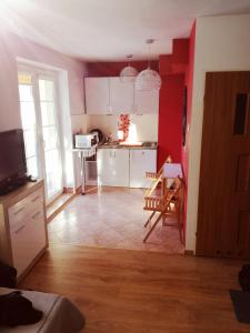 Kuchyňa alebo kuchynka v ubytovaní Apartament Patryk