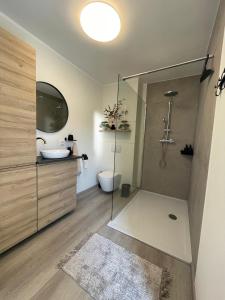 a bathroom with a shower and a toilet and a sink at Vakantie Studio Mari Jani in Waterlandkerkje +4 photos