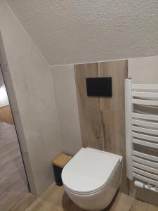 a bathroom with a white toilet and a tv at Pod skosem in Witów