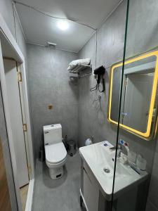 a small bathroom with a toilet and a sink at Turkman Madrasah XIX Century Hotel in Bukhara