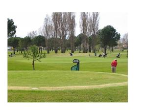 a man is standing on a golf course at Bel appart vue lac in La Grande Motte