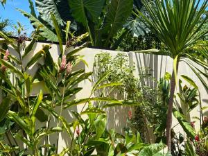 a garden with plants and a white fence at Ayu Homestay - Room 3 in San Isidro