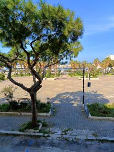 Taman di luar da Cappellini