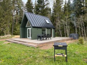 a green tiny house with a grill in the yard at Uduaasa Minimaja in Urge