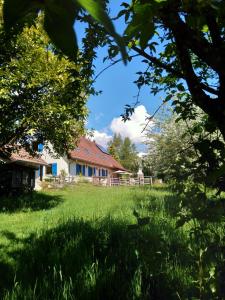 a house in the middle of a grassy field at Vogesenparadies in Kirchberg
