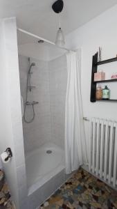 a bathroom with a bath tub with a shower curtain at Le Manivert in Vitry-Laché +62 photos