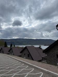 a row of houses with a lake in the background at Mavrovo Lake Chalet in Mavrovo