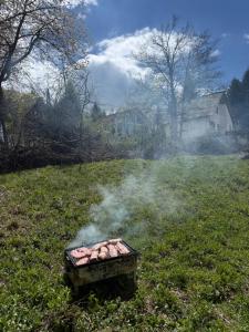 a box of rocks in a field with smoke at Mavrovo Lake Chalet in Mavrovo +19 photos