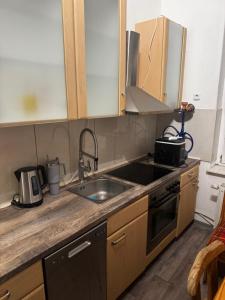 a kitchen with a sink and a counter top at Monteur- & Gästewohnung Coswig in Coswig +16 photos