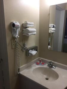 een badkamer met een wastafel, een haardroger en een spiegel bij Econo Lodge I-40 Exit 286-Holbrook Holbrook in Holbrook