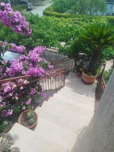 a stairway with flowers and potted plants on it at ROOMS LUCE 2 & Supetar in Supetar