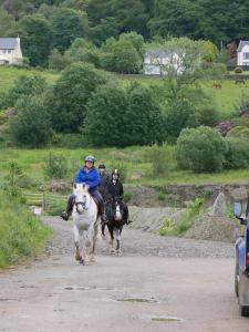 two people riding horses down a dirt road at Beachcombers in Craobh Haven