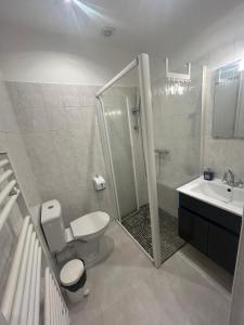 a bathroom with a shower and a toilet and a sink at Location saisonnière in Sospel
