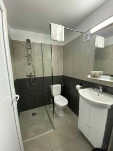 a bathroom with a shower and a toilet and a sink at Vama Stone House in Vama Veche