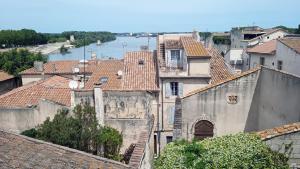 an overhead view of a city with roofs and a river at Superbe appartement avec vue in Arles