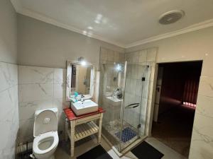 a bathroom with a toilet and a sink and a shower at Healboys Self - catering Accommodation in Bonnievale