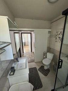 a bathroom with a toilet and a sink at Apartman SÙŠANJ in Opatija +27 photos