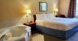 a hotel room with a bed and a bath tub at Magnason Hotel in West Liberty