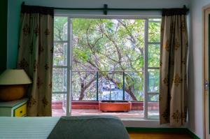a large window with a view of a tree at Residencia Polanco in Mexico City