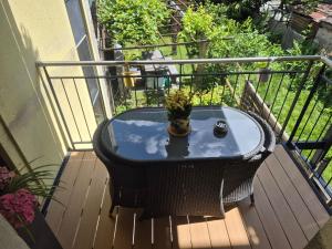 a table on a balcony with a plant on it at Casa Rosa in Biasca