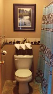 a bathroom with a toilet and a picture on the wall at Alpine Motel in Branch Township
