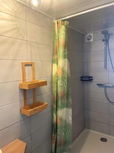 a shower with a shower curtain in a bathroom at Gîte 'A deux pas du ciné' in Maîche +11 photos