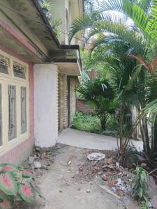 a porch of a house with a palm tree next to it at Saurabh home stay in Dibrugarh