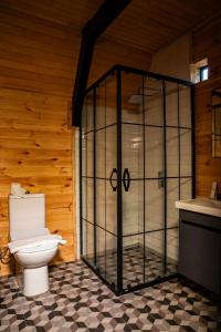 a bathroom with a toilet and a shower and a sink at Morrian Sapanca in Sapanca +25 photos