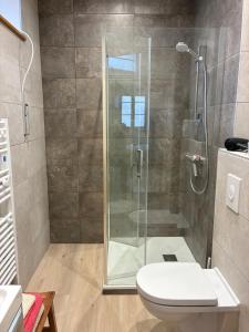 a bathroom with a shower and a toilet at Chez Mamema in Barr +43 photos