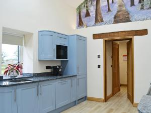 a kitchen with blue cabinets and a sink at Bluebell Barn in Okehampton