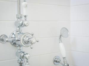 a shower with a chrome shower head in a bathroom at Mallard Cottage in Winchester