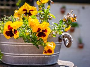 a metal bucket filled with yellow flowers on a table at Mallard Cottage in Winchester