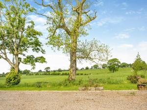 two trees on the side of a gravel road at Whitehill Lodge - Uk47194 in Kirkcambeck